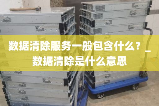 数据清除服务一般包含什么？_数据清除是什么意思