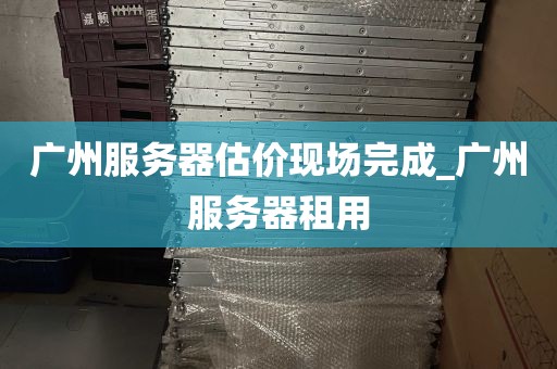 广州服务器估价现场完成_广州服务器租用