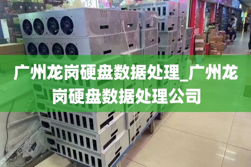 广州龙岗硬盘数据处理_广州龙岗硬盘数据处理公司