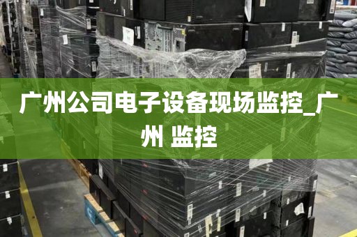 广州公司电子设备现场监控_广州 监控